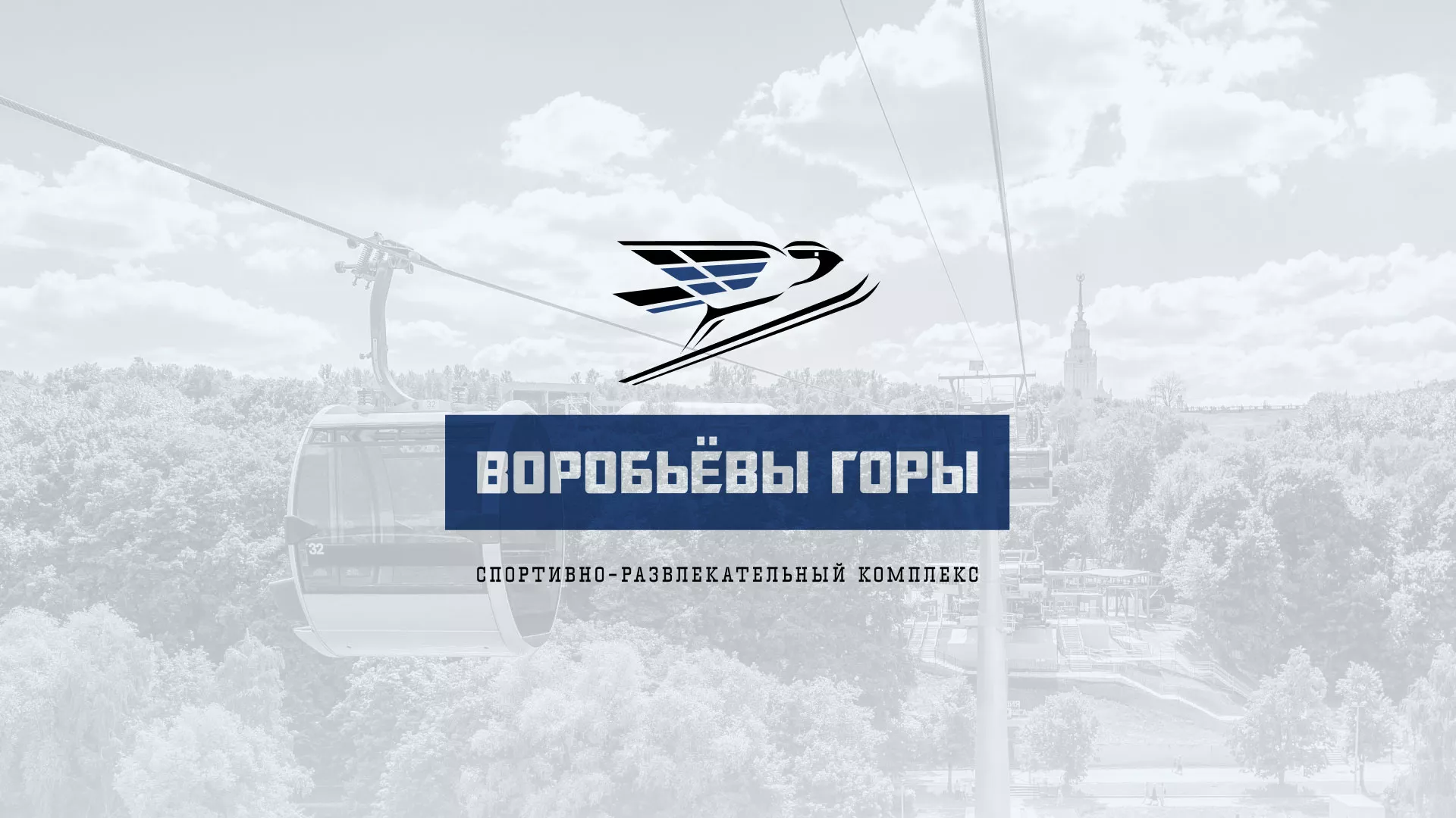 Разработка сайта в Гуково для спортивно-развлекательного комплекса «Воробьёвы горы»