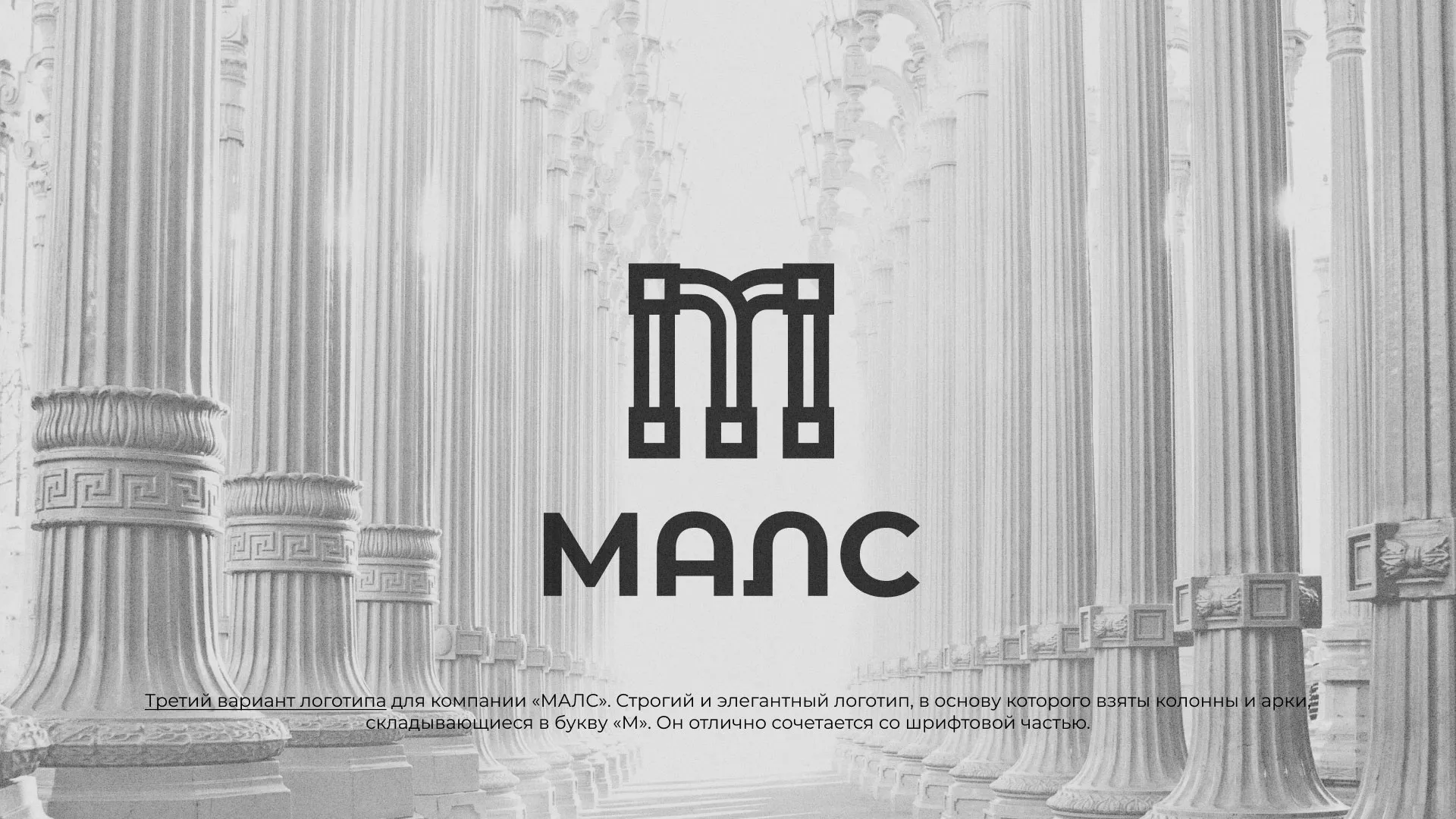 Разработка логотипа компании «МАЛС» в Гуково
