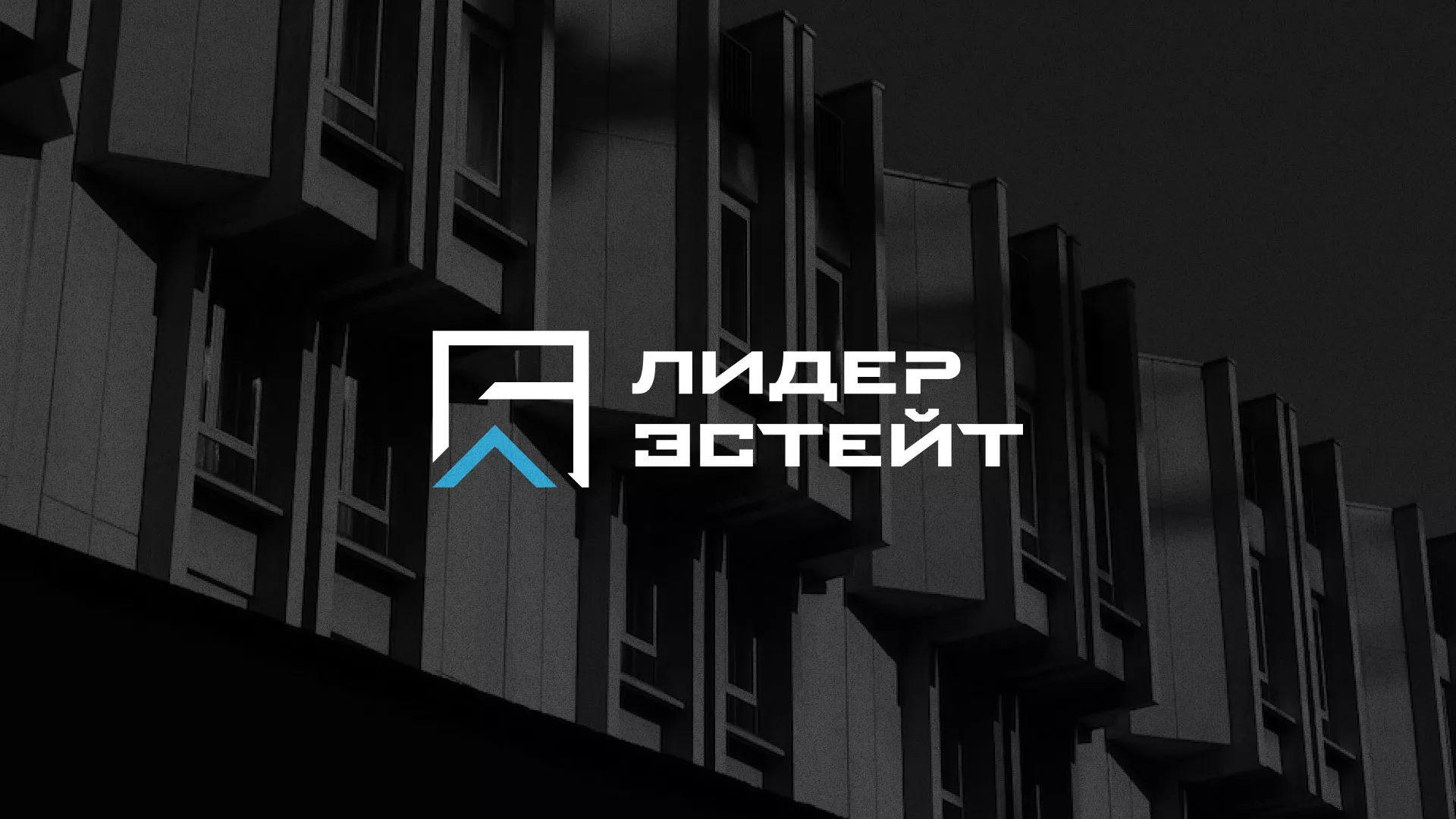 Разработка логотипа агентства недвижимости «Лидер Эстейт» в Гуково